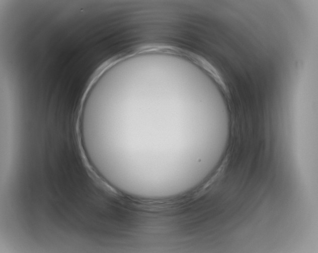 X0000114601330200910191046