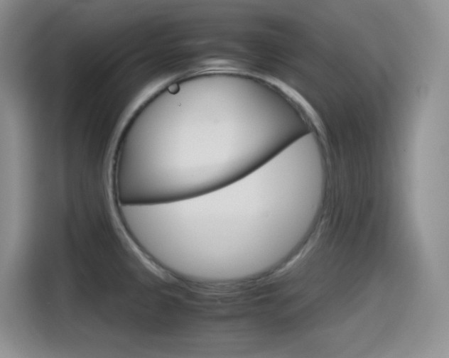 X0000114601333200910191046