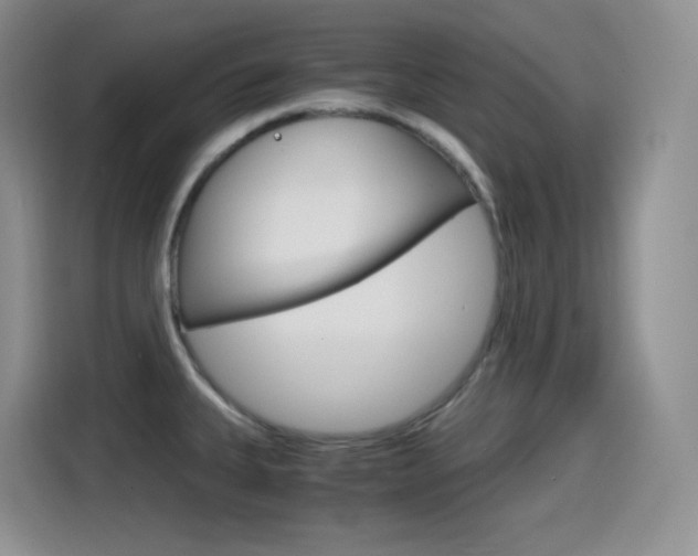 X0000114601335200910191046