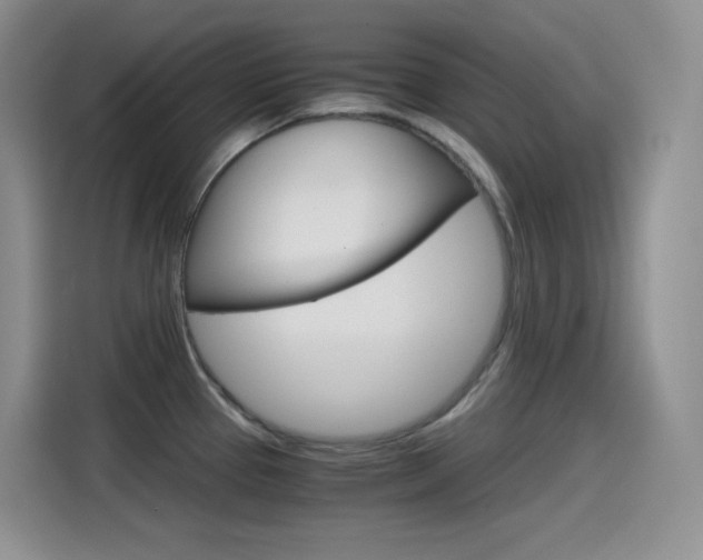 X0000114601337200910191046