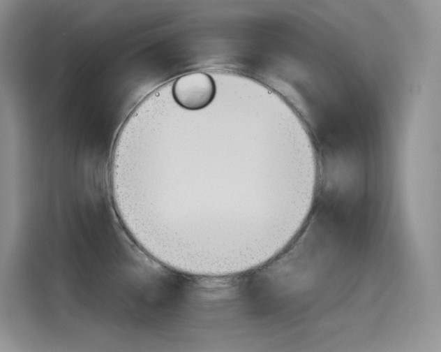 X0000114601338200910191046
