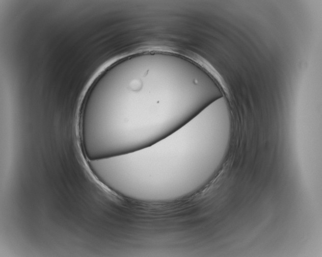 X0000114601339200910191046