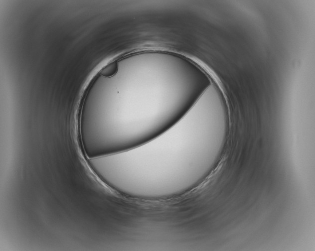 X0000114601341200910191046
