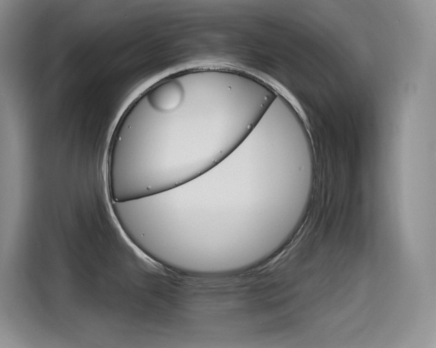 X0000114601343200910191046
