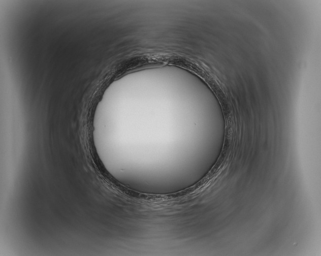 X0000114601345200910191046