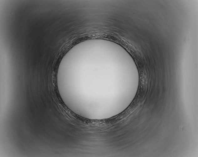 X0000114601346200910191046