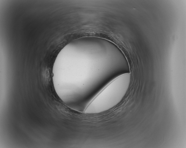 X0000114601347200910191046