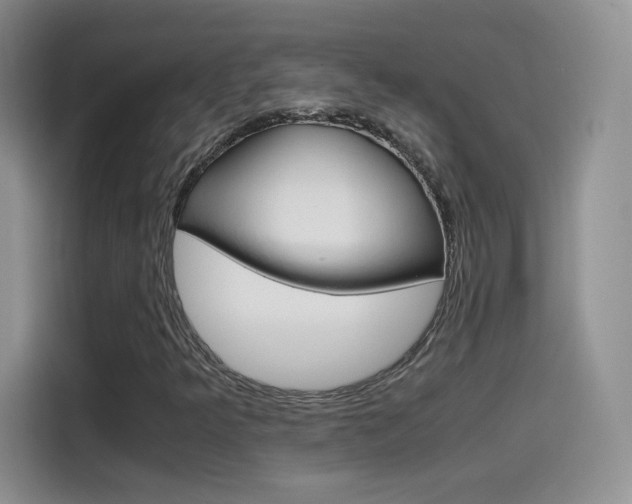 X0000114601349200910191046