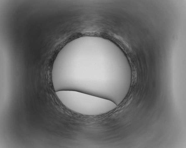 X0000114601350200910191046