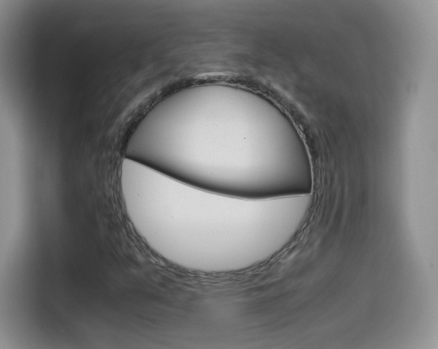 X0000114601351200910191046