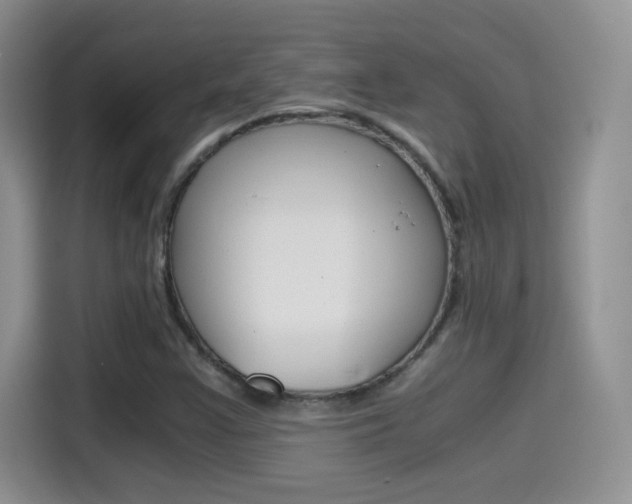 X0000114601355200910191046
