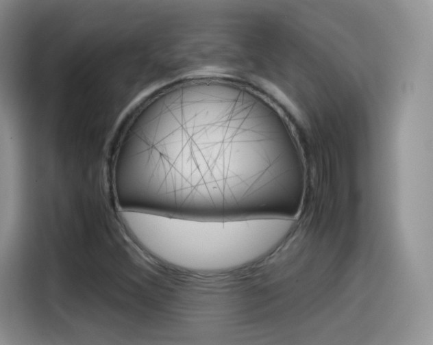 X0000114601356200910191046