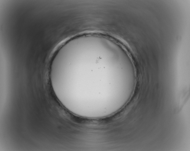 X0000114601359200910191046