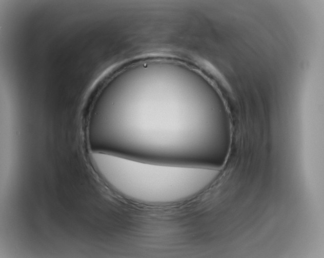 X0000114601360200910191046