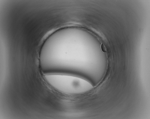 X0000114601363200910191045
