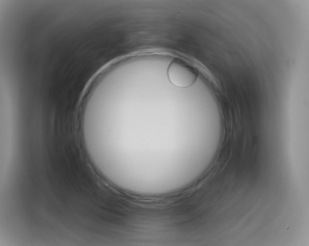 X0000114601364200910191045