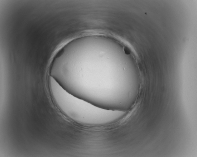 X0000114601365200910191045