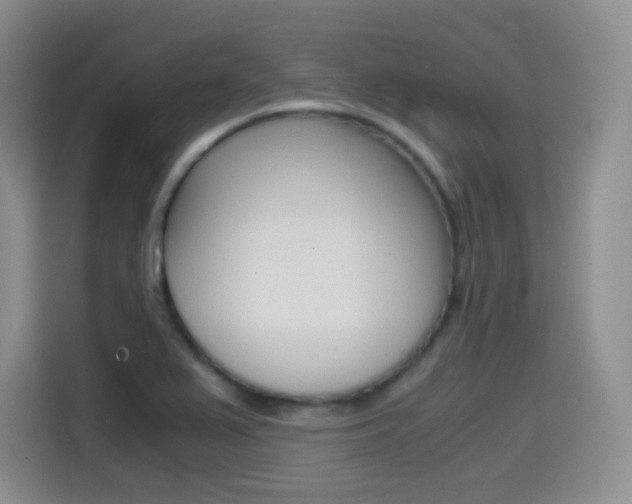 X0000114601367200910191045