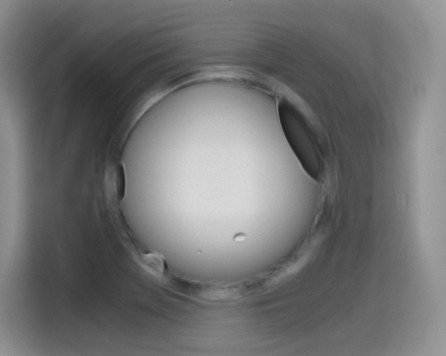 X0000114601369200910191045