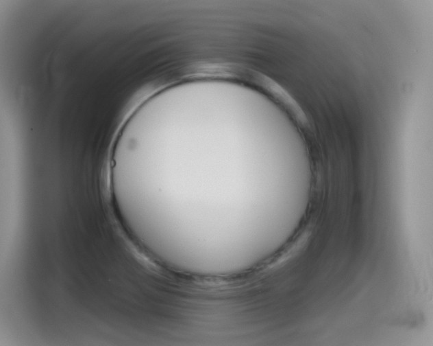 X0000114601370200910191045