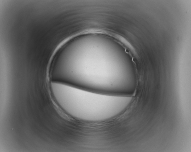 X0000114601372200910191045