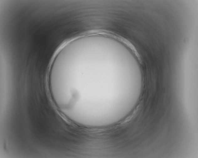X0000114601373200910191045