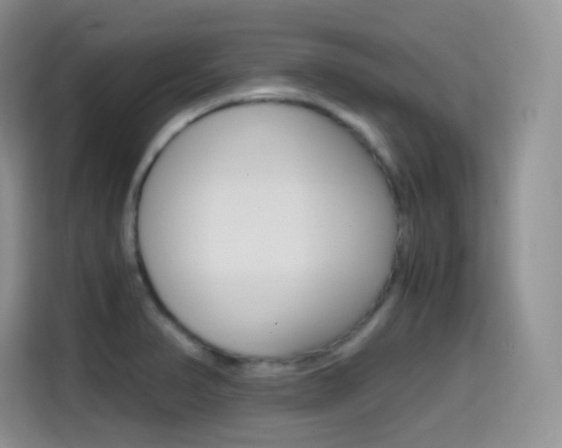X0000114601374200910191045
