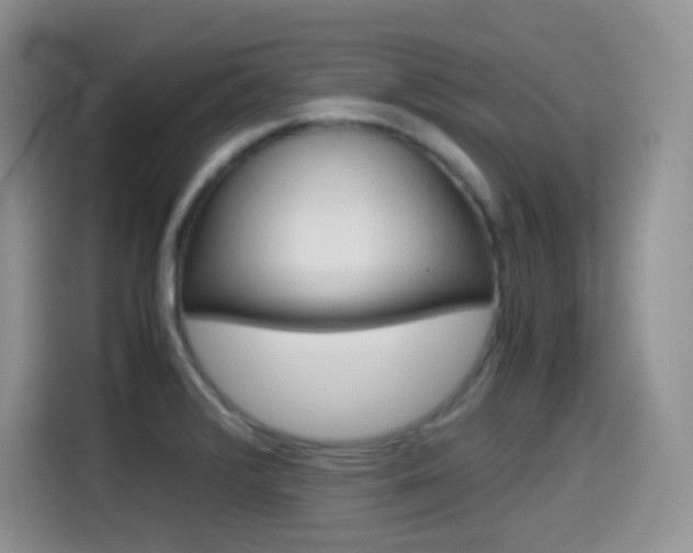 X0000114601376200910191045