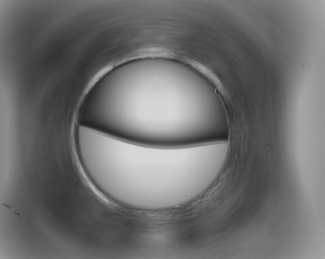 X0000114601383200910191045
