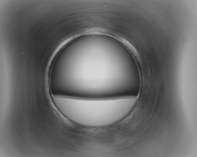 X0000114601384200910191045