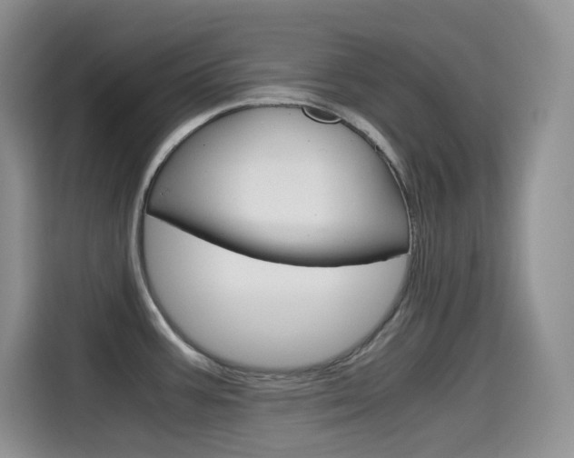 X0000114601387200910191045