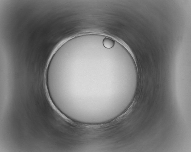 X0000114601389200910191045