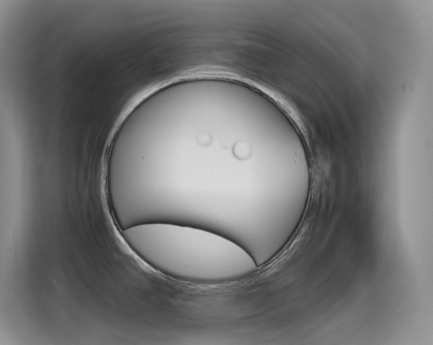X0000114601390200910191045