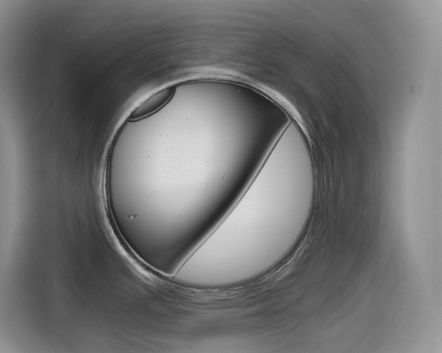 X0000114601391200910191045