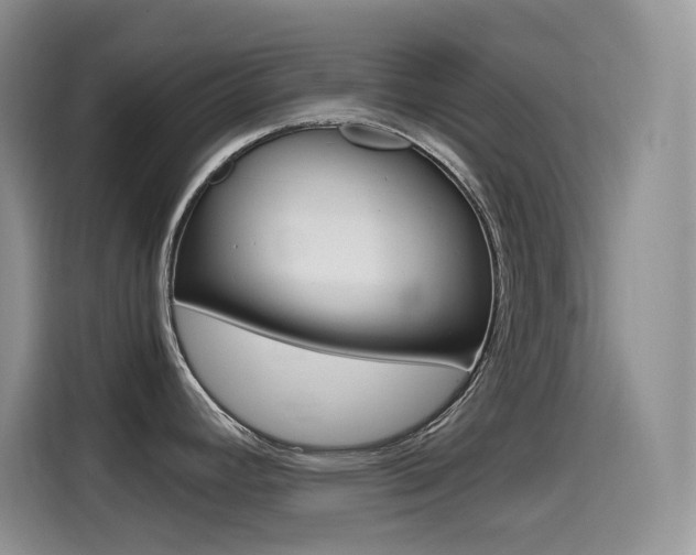 X0000114601392200910191045