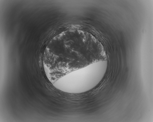 X0000114601395200910191045