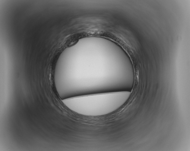 X0000114601396200910191045