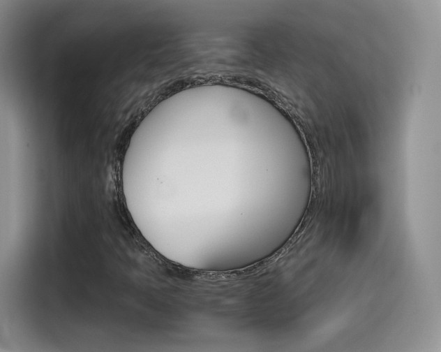 X0000114601397200910191045