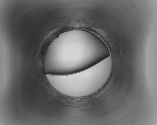 X0000114601398200910191045