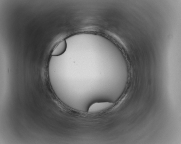 X0000114601405200910191045