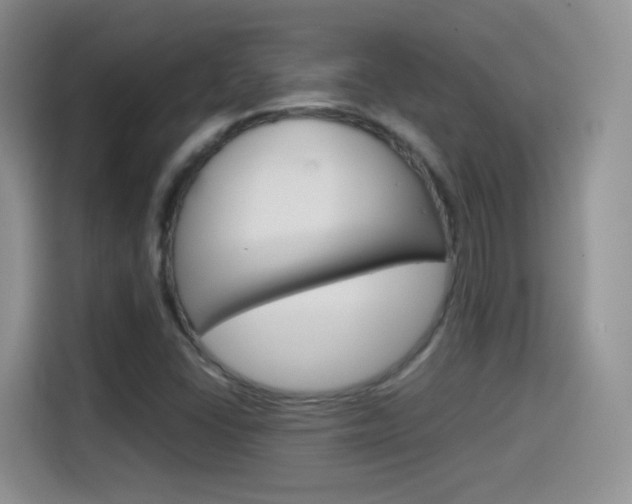 X0000114601406200910191045