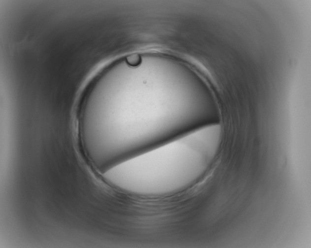 X0000114601414200910191045