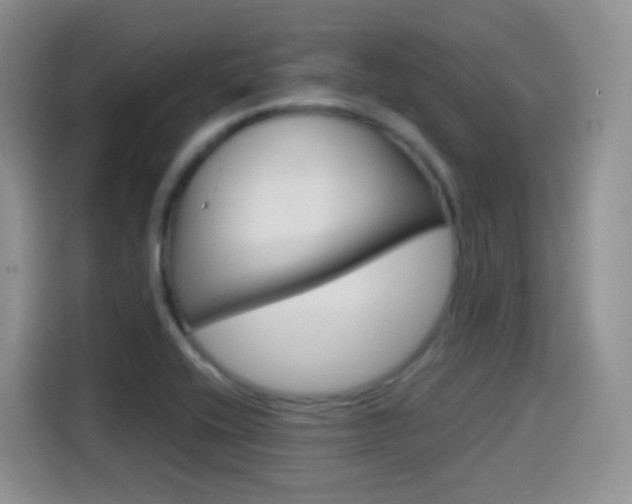 X0000114601416200910191045