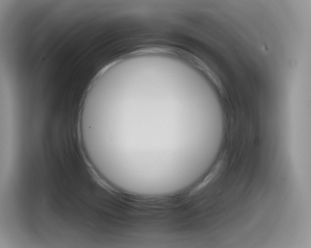 X0000114601417200910191045