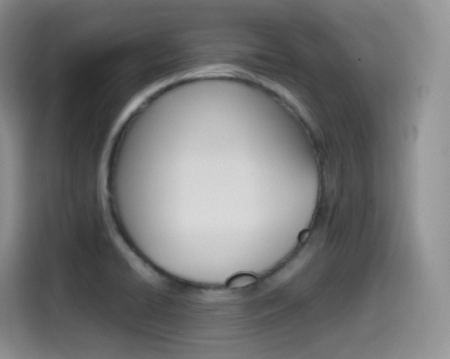 X0000114601422200910191045