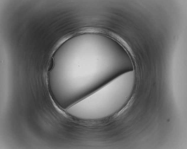 X0000114601433200910191045
