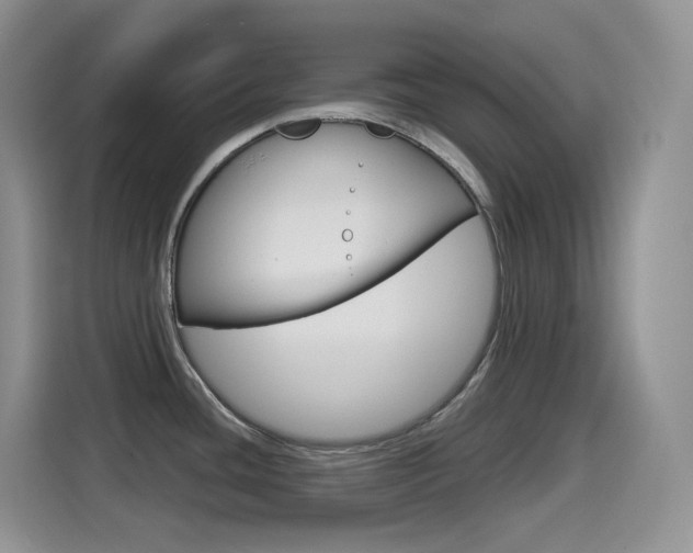 X0000114601436200910191045