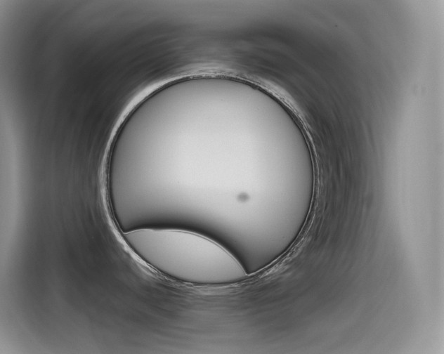 X0000114601440200910191045