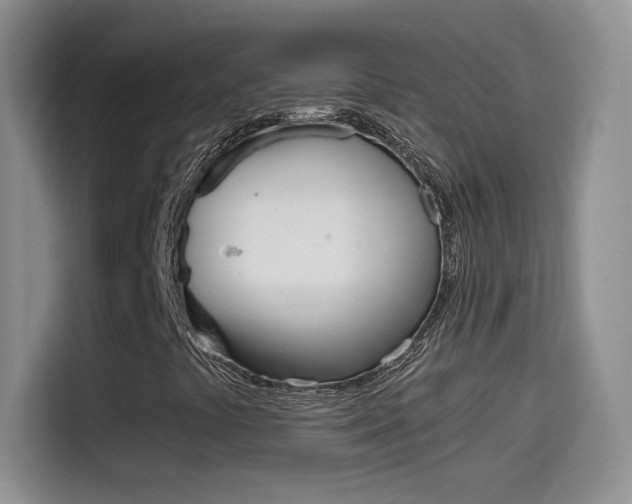 X0000114601441200910191044