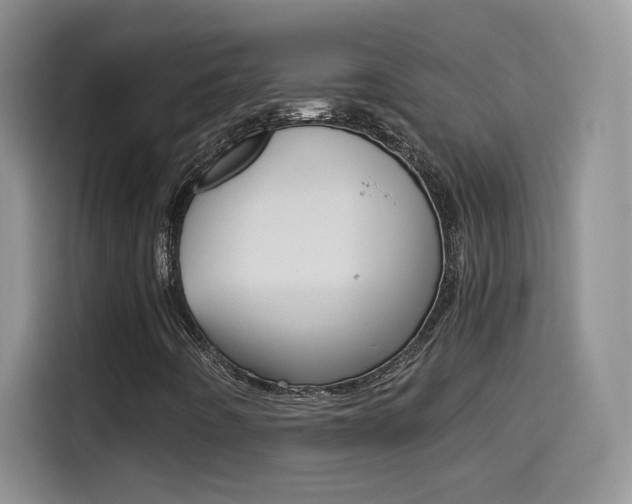 X0000114601442200910191044